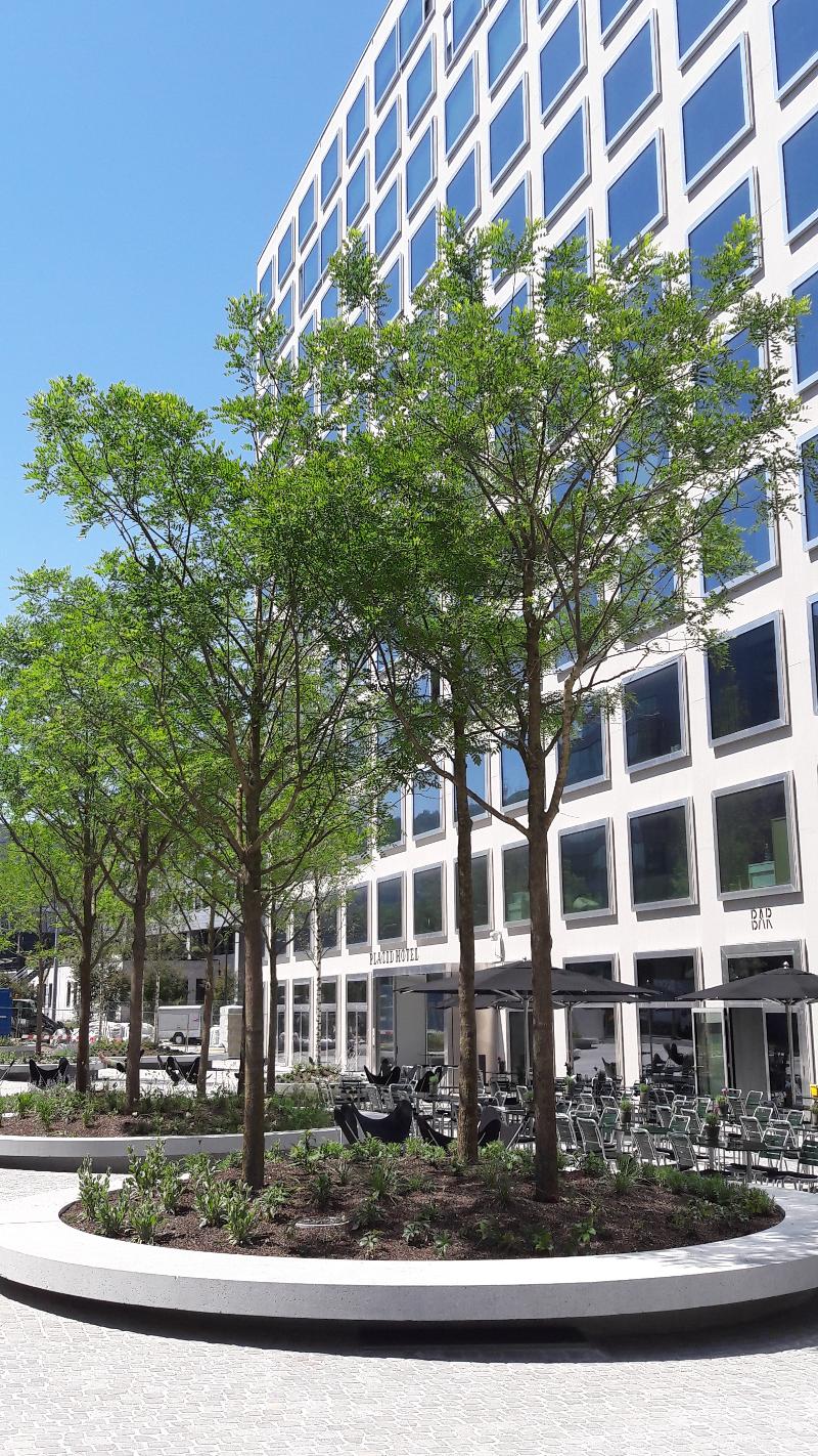 Placid Hotel Design & Lifestyle Zurich - Genel