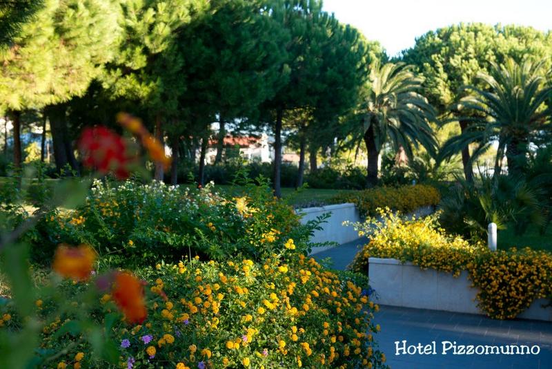 Pizzomunno Vieste Palace Hotel - Genel