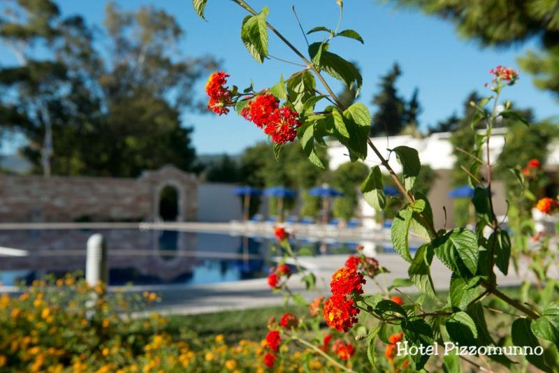 Pizzomunno Vieste Palace Hotel - Havuz