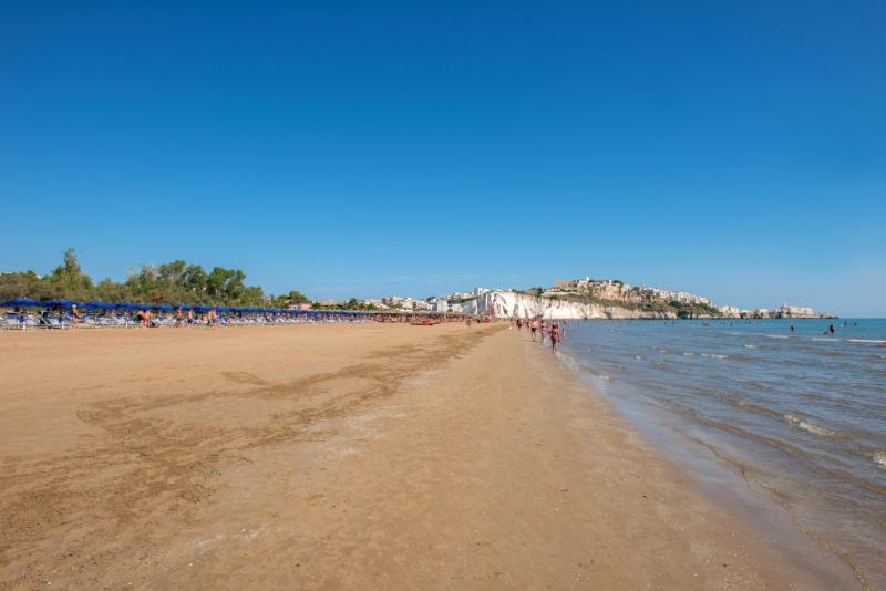 Pizzomunno Vieste Palace Hotel - Plaj