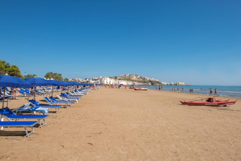 Pizzomunno Vieste Palace Hotel - Plaj