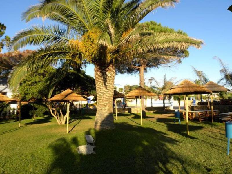 Mon Reve Resort - Genel