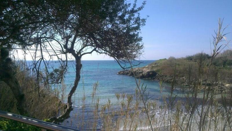Mon Reve Resort - Genel