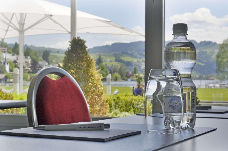 TOP SeminarHotel am Aegerisee Unteraegeri - Toplantı