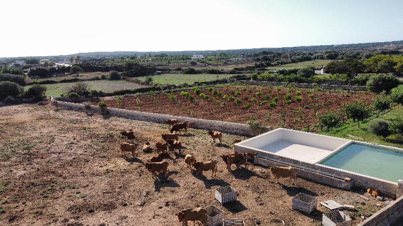 Agroturismo Son Juaneda - Genel
