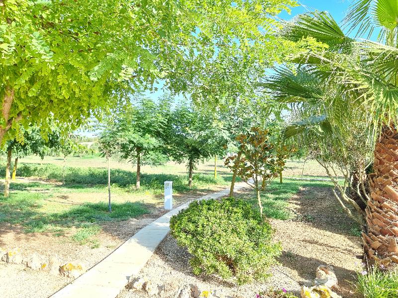 Agroturismo Son Juaneda - Genel