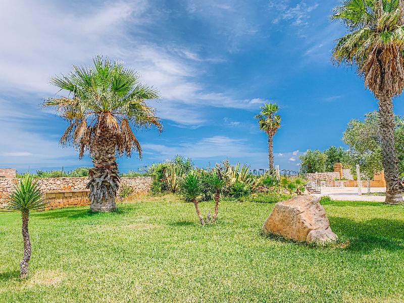Masseria Tenuta Quintino - Genel