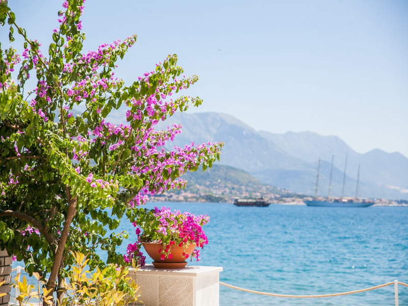 Boutique Hotel and Spa Blanc & Bleu - Blanche - Lobi