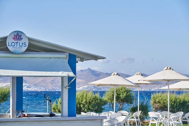 White Olive Marine Aquapark - Bar