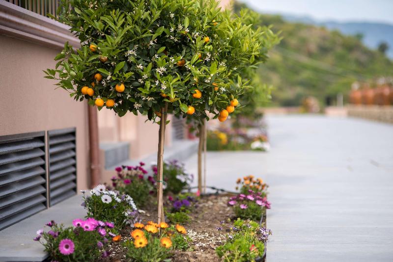 Best Western Plus Hotel Terre di Eolo - Genel