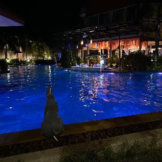 Chivatara Resort & Spa Bang Tao Beach Phuket fotoÄŸrafÄ±
