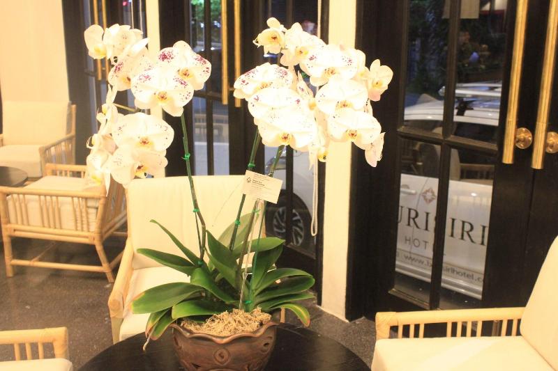 Buri Siri Hotel - Lobi