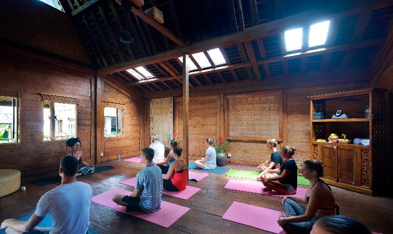 Kalapa Resort and Yoga Retreat - Aktivite