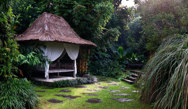 Kalapa Resort and Yoga Retreat - Genel