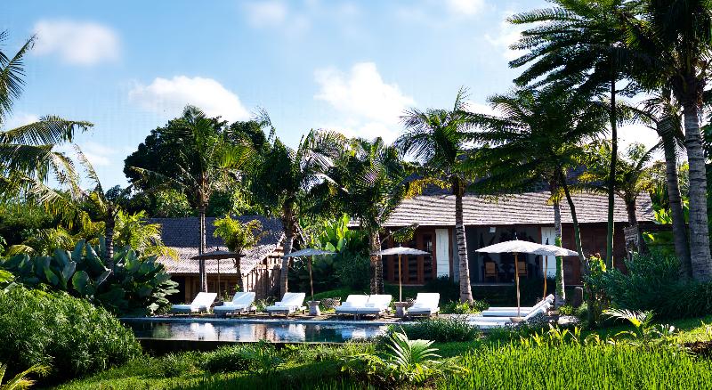 Kalapa Resort and Yoga Retreat - Genel