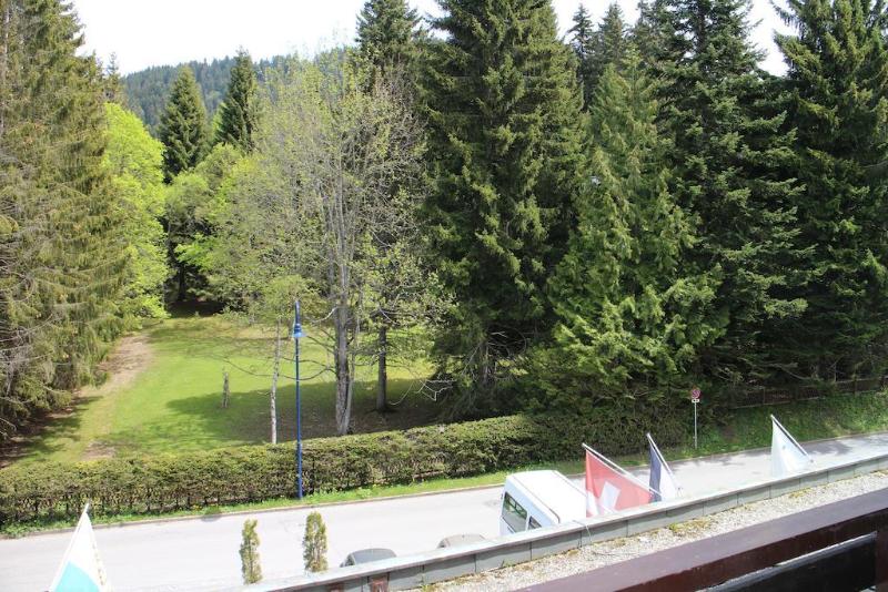 Eurotel Victoria - Genel