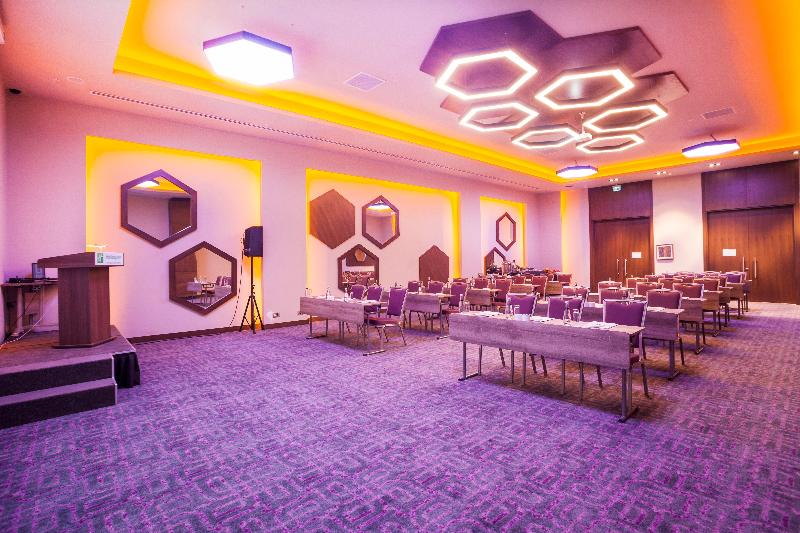 Holiday Inn KAYSERI - DÜVENÖNÜ by IHG - Toplantı