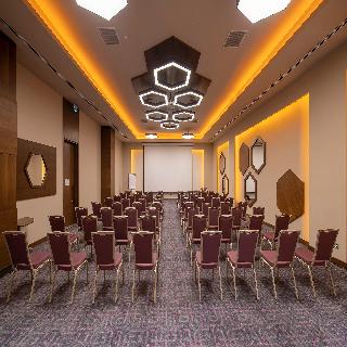 Holiday Inn KAYSERI - DÜVENÖNÜ by IHG fotoÄŸrafÄ±