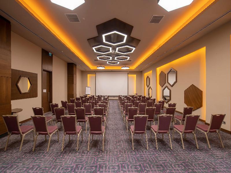 Holiday Inn KAYSERI - DÜVENÖNÜ by IHG - Toplantı