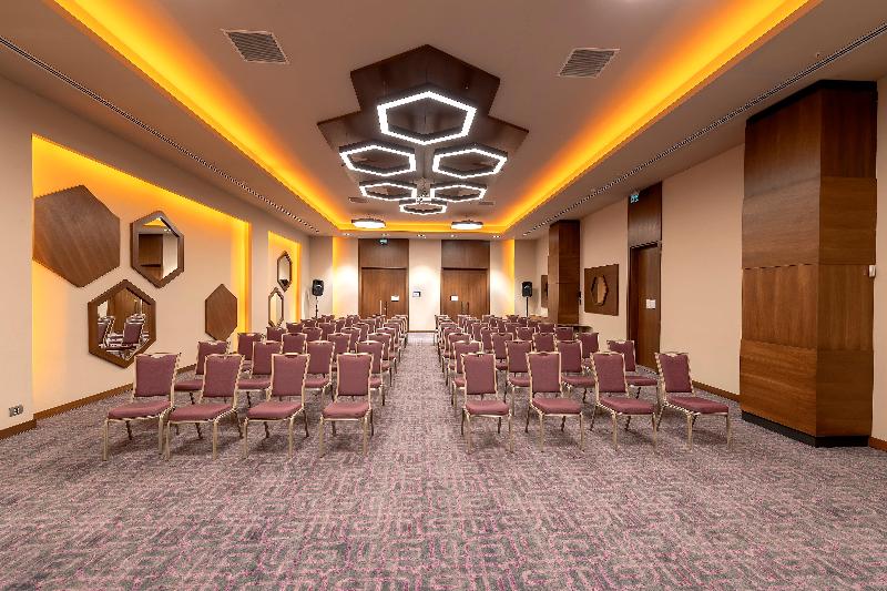 Holiday Inn KAYSERI - DÜVENÖNÜ by IHG - Toplantı