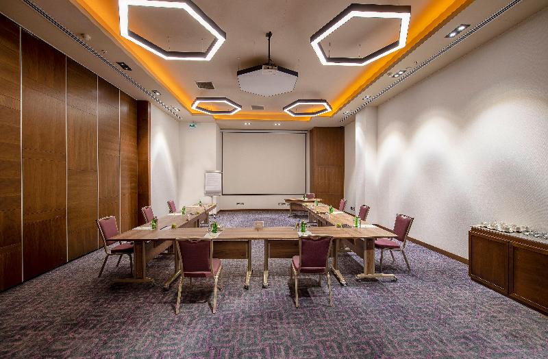 Holiday Inn KAYSERI - DÜVENÖNÜ by IHG - Toplantı
