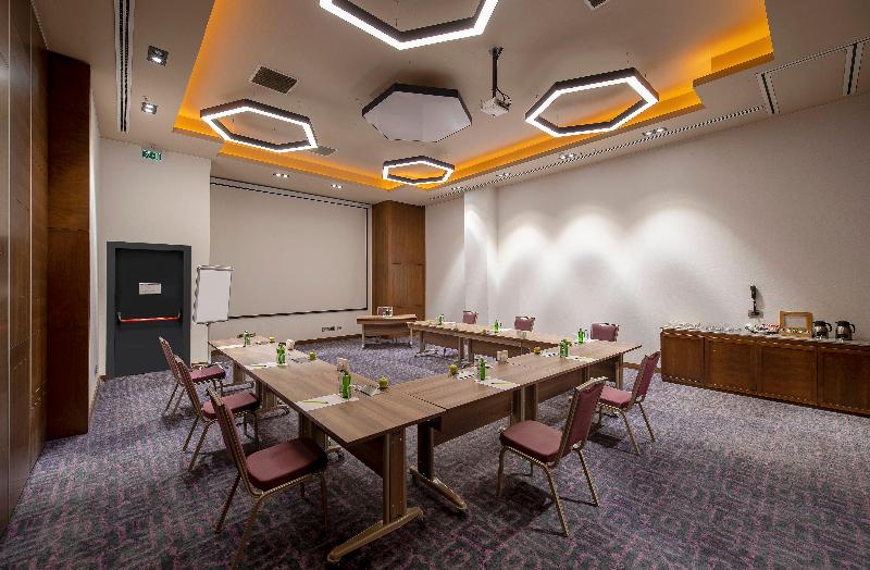 Holiday Inn KAYSERI - DÜVENÖNÜ by IHG - Toplantı