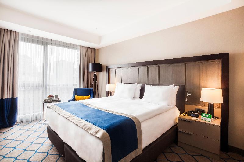 Holiday Inn KAYSERI - DÜVENÖNÜ by IHG - Oda