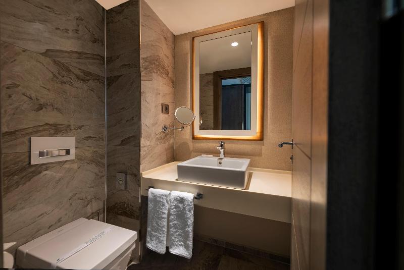 Holiday Inn KAYSERI - DÜVENÖNÜ by IHG - Oda