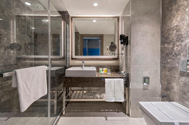 Holiday Inn KAYSERI - DÜVENÖNÜ by IHG - Oda