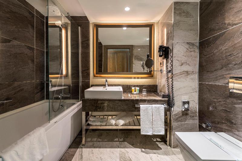 Holiday Inn KAYSERI - DÜVENÖNÜ by IHG - Oda