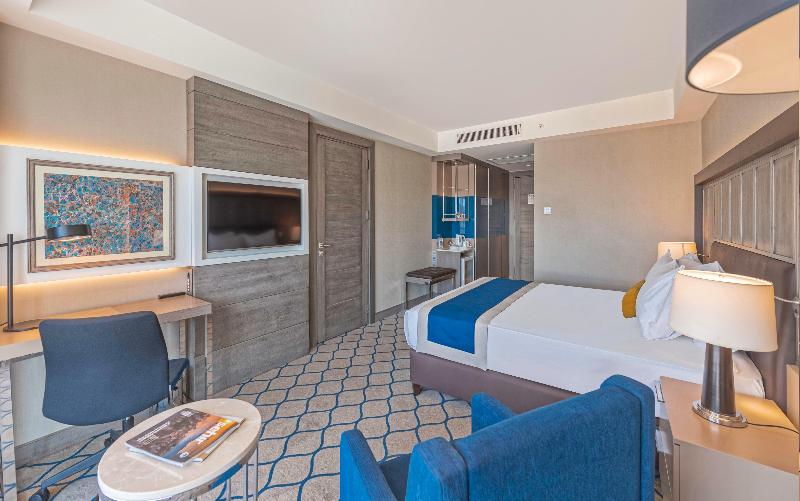 Holiday Inn KAYSERI - DÜVENÖNÜ by IHG - Oda