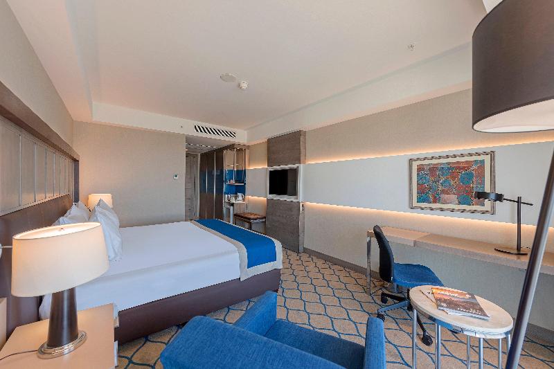 Holiday Inn KAYSERI - DÜVENÖNÜ by IHG - Oda