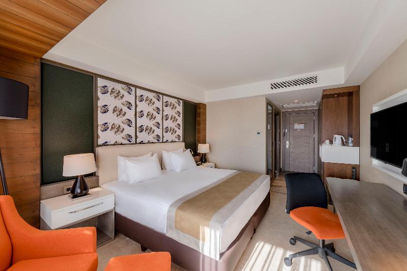 Holiday Inn KAYSERI - DÜVENÖNÜ by IHG - Oda