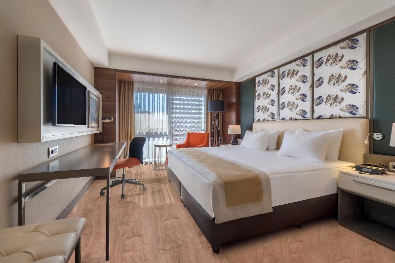 Holiday Inn KAYSERI - DÜVENÖNÜ by IHG - Oda
