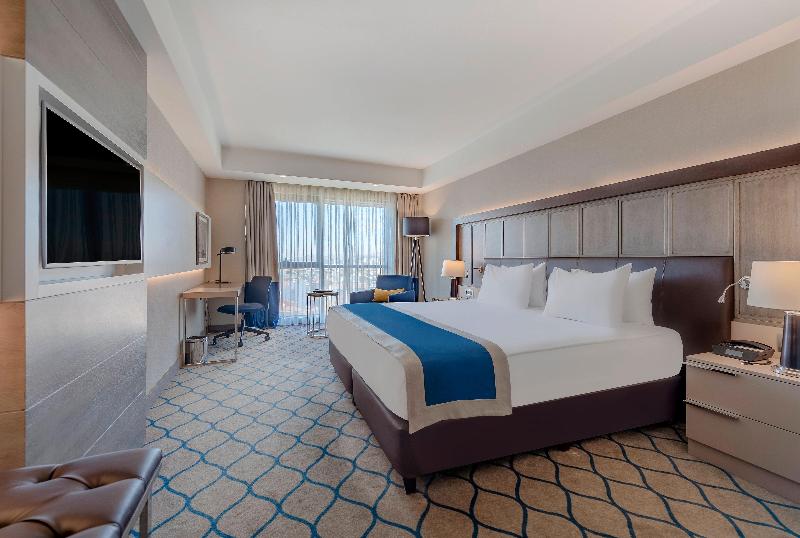 Holiday Inn KAYSERI - DÜVENÖNÜ by IHG - Oda