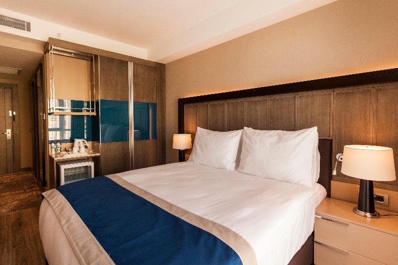 Holiday Inn KAYSERI - DÜVENÖNÜ by IHG - Oda