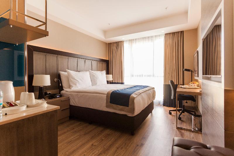 Holiday Inn KAYSERI - DÜVENÖNÜ by IHG - Oda