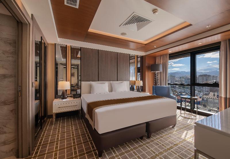 Holiday Inn KAYSERI - DÜVENÖNÜ by IHG - Oda