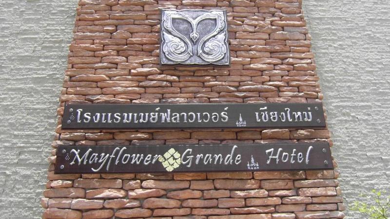 Mayflower Grande - Genel