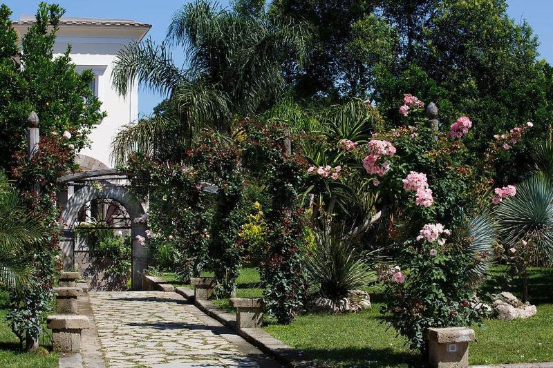 Villa Don Camillo - Genel