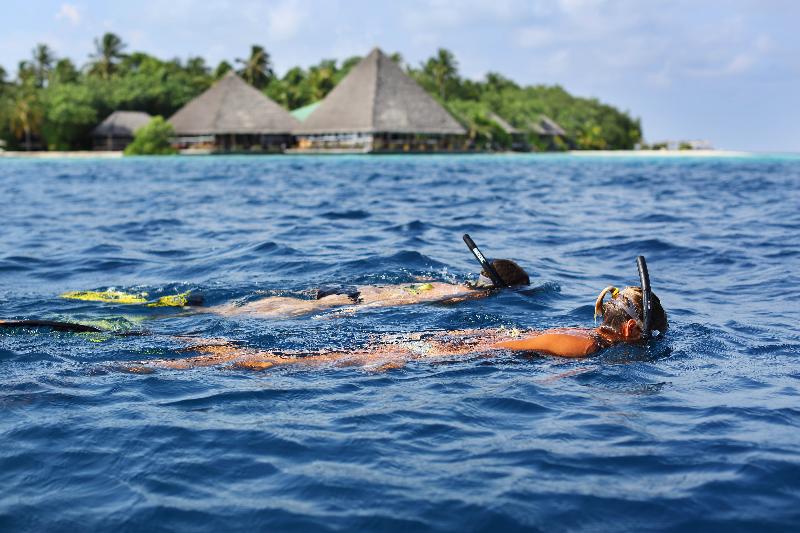 Gangehi Island Resort & Spa Maldive - Aktivite