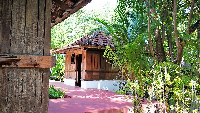 Gangehi Island Resort & Spa Maldive - Aktivite