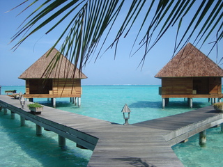 Gangehi Island Resort & Spa Maldive fotoÄŸrafÄ±