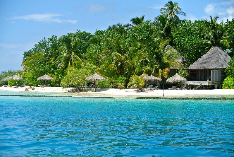 Gangehi Island Resort & Spa Maldive - Oda