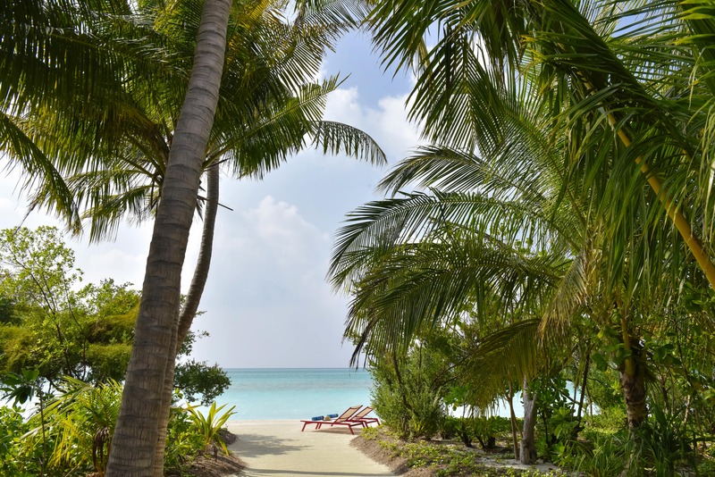 Kandima Maldives - Oda