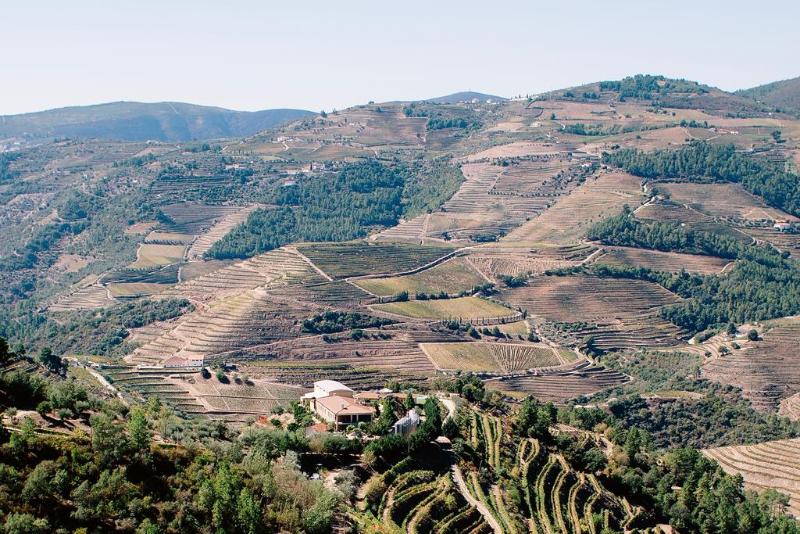 Rural Quinta do Silval - Lobi