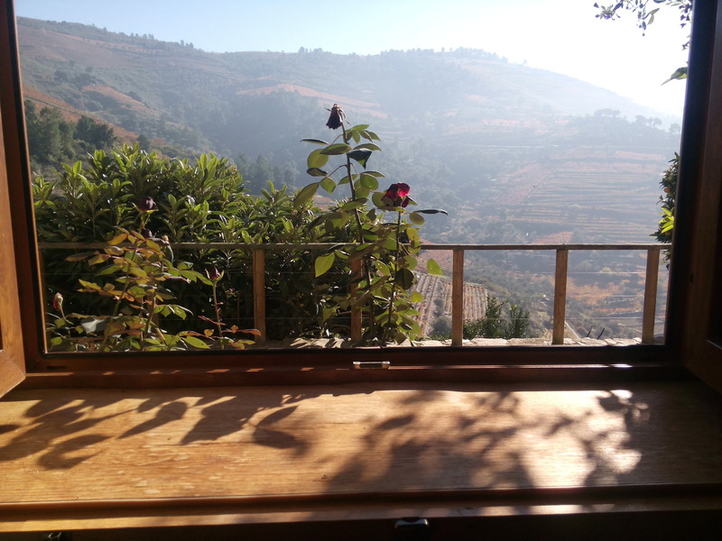 Rural Quinta do Silval - Oda