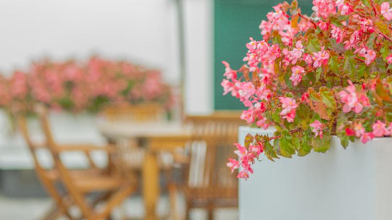 Comercial Azores Guest House - Genel
