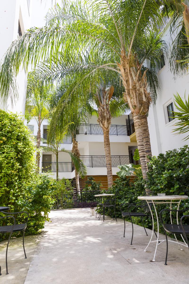 Alecos Hotel Apts - Genel