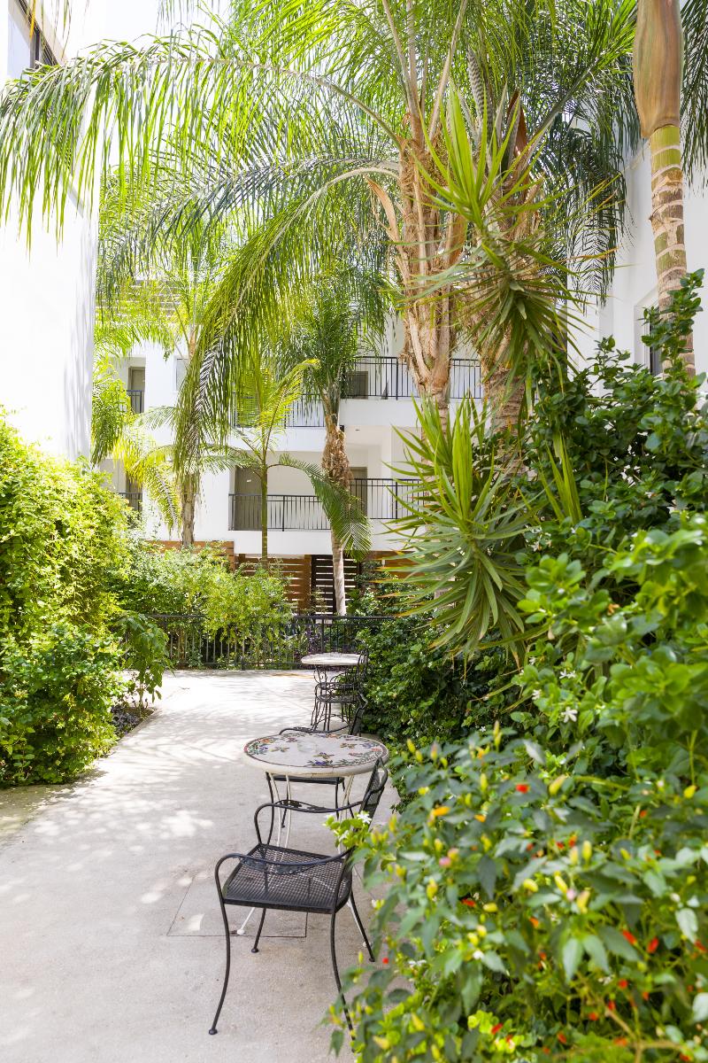 Alecos Hotel Apts - Genel